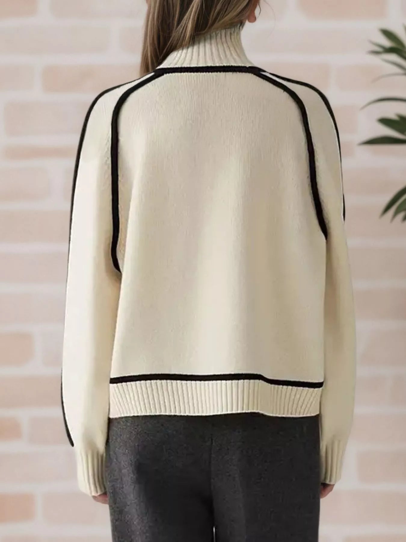 Contrast Trim Turtleneck Sweater
