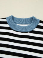 Striped Panels Colorblock Sleeve Sweater