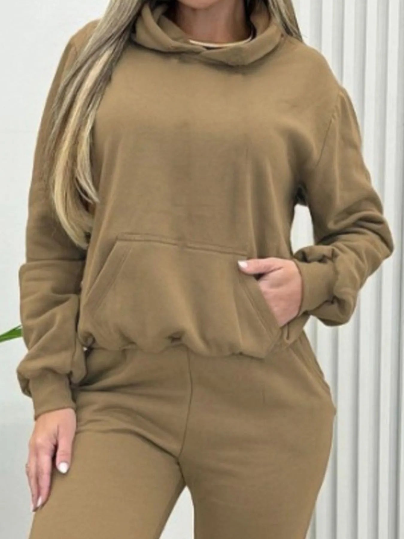 Long Sleeve Hoodie and Joggers Set