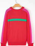 Striped Sleeve Crew Neck Sweater