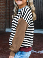 Striped Panels Colorblock Sleeve Sweater